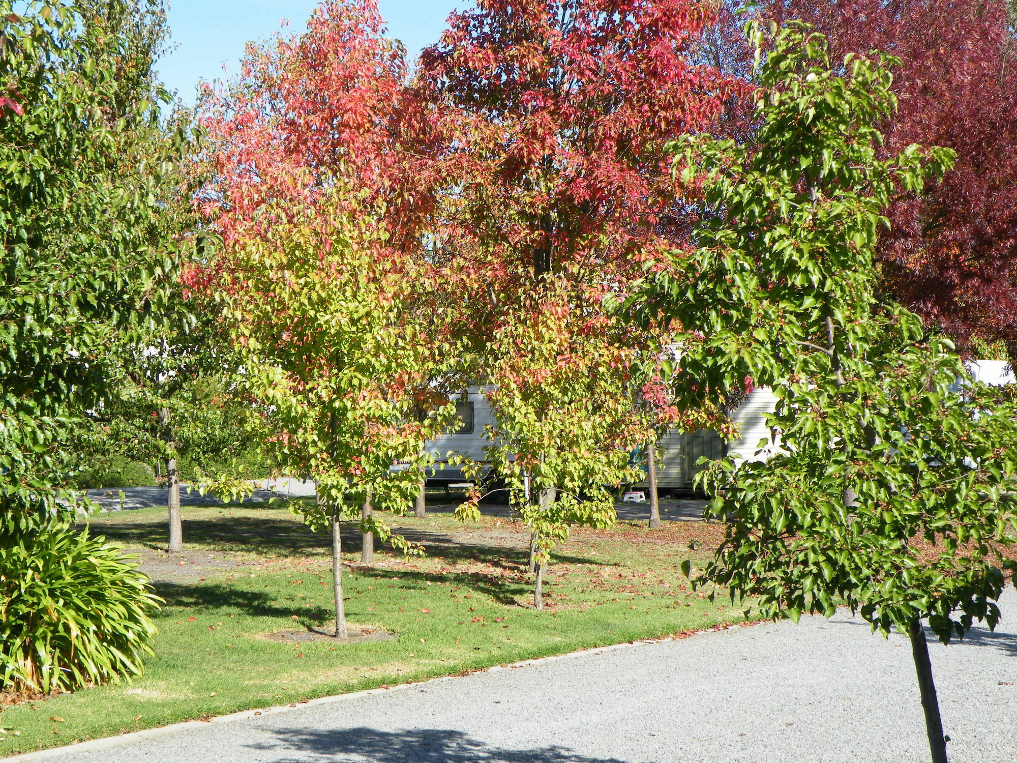 Lake Hamilton Motor Village And Caravan Park Eksteriør billede